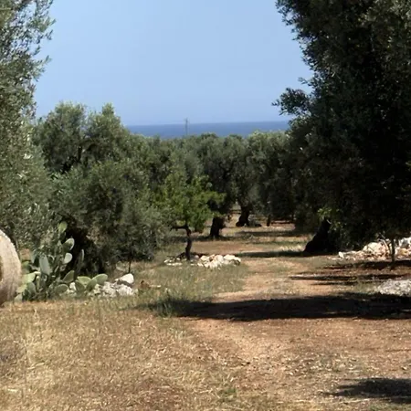 Trulli Alelia 모노폴리