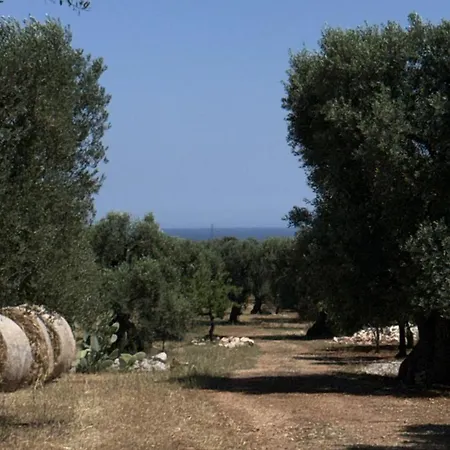 Trulli Alelia Bed and Breakfast Monopoli