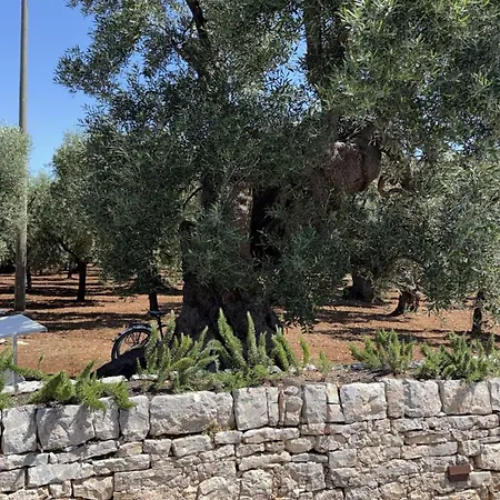 B&B Trulli Alelia 모노폴리